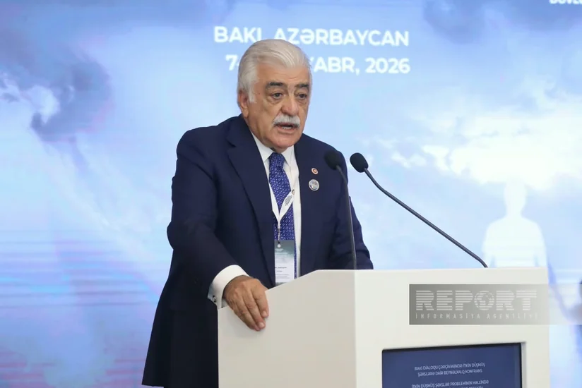 Şamil Ayrım: Türkiyəyə qarşı soyqırımı iddiasının obyektiv araşdırılması üçün arxivlərin açılması zəruridir