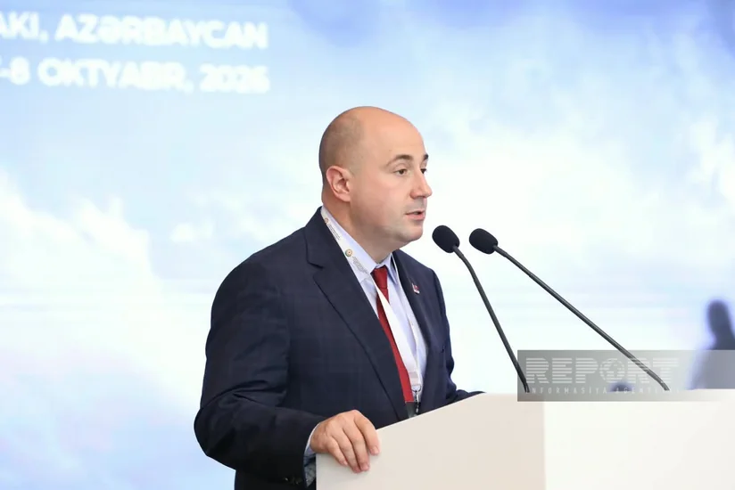 Козарев: Сербия готова поделиться с Азербайджаном опытом в поиске пропавших без вести