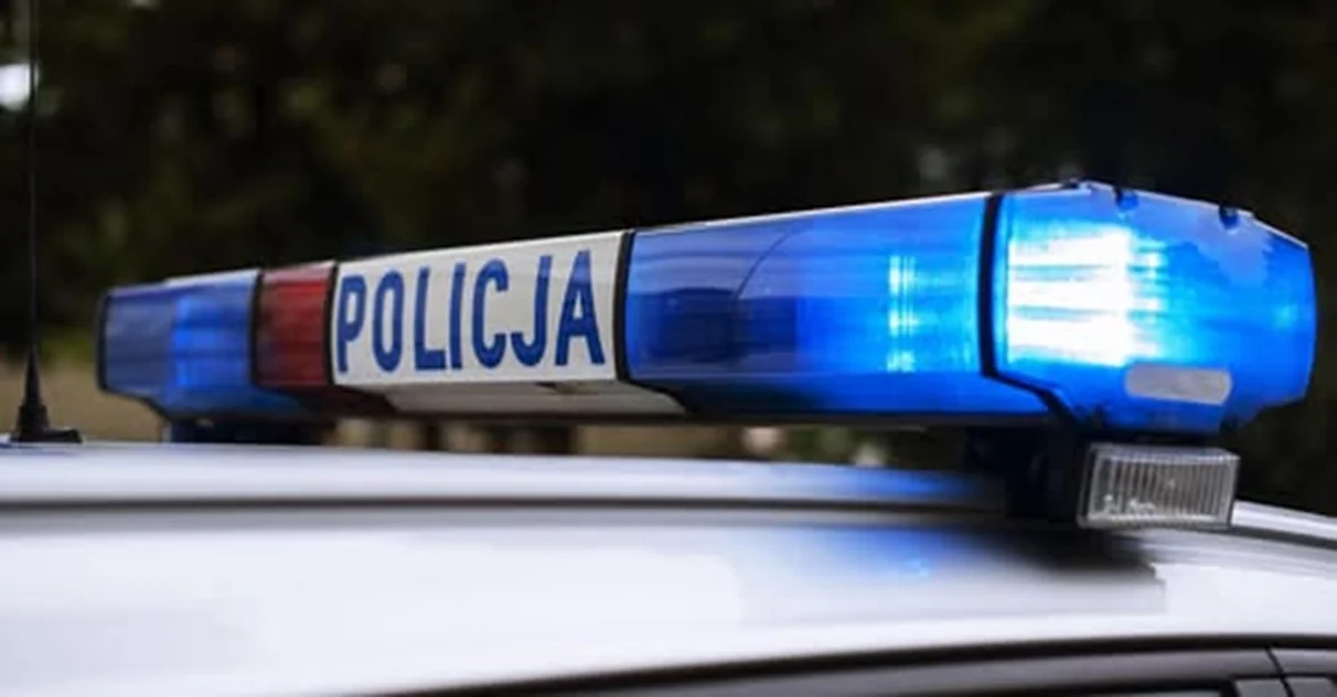 В Польше девять человек пострадали при нападении с ножом в профтехучилище