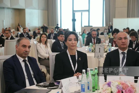 Baku hosting international conference on missing persons