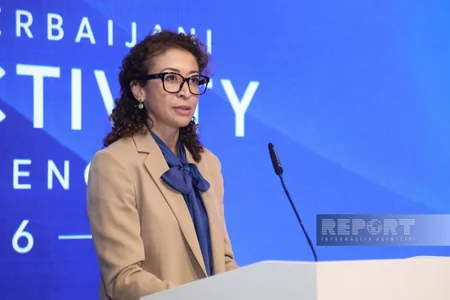 Narqis Vik: Azərbaycan Almaniya üçün Cənubi Qafqaz və Mərkəzi Asiya bazarlarına çıxış qapısı ola bilər - MÜSAHİBƏ
