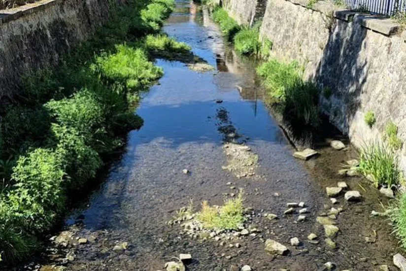 В Чехии объявили о нехватке воды в Влтаве и Эльбе