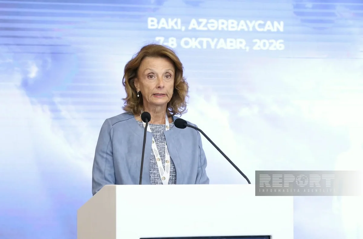 Baku hosts panel on humanitarian cooperation concerning missing persons