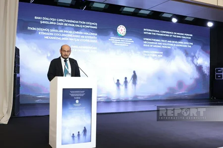 Baku hosts panel on humanitarian cooperation concerning missing persons
