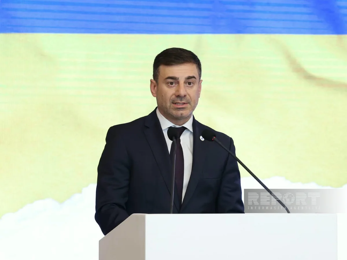 Ukraine has about 113,000 missing persons due to war, Lubinets says