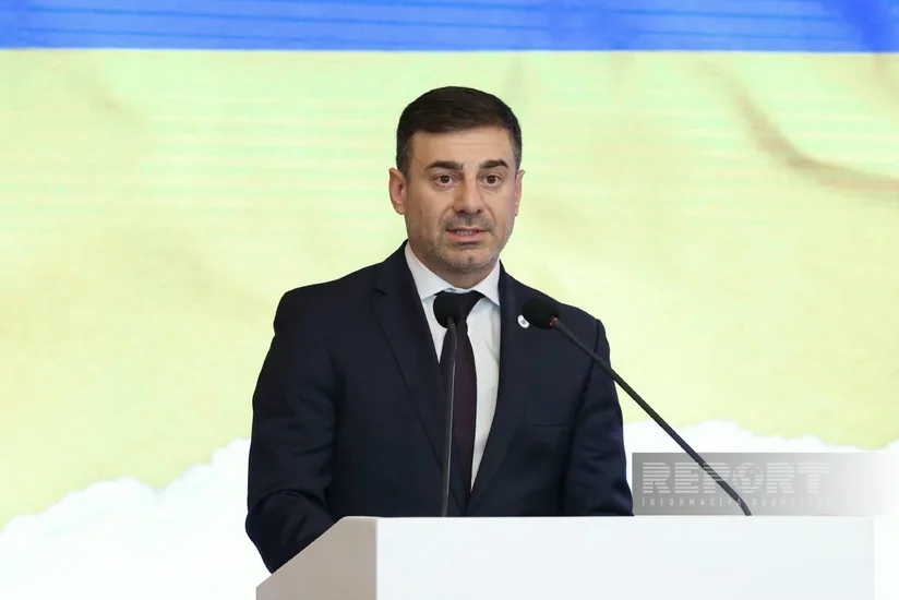 Дмитрий Лубинец: В Украине около 113 тыс. пропавших без вести из-за войны