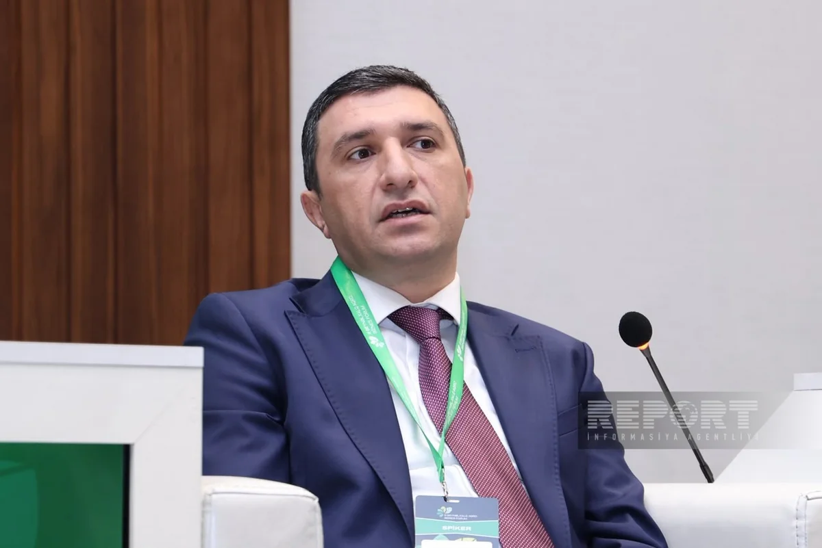AmCham: Azerbaijani Banks take a cautious approach to project financing