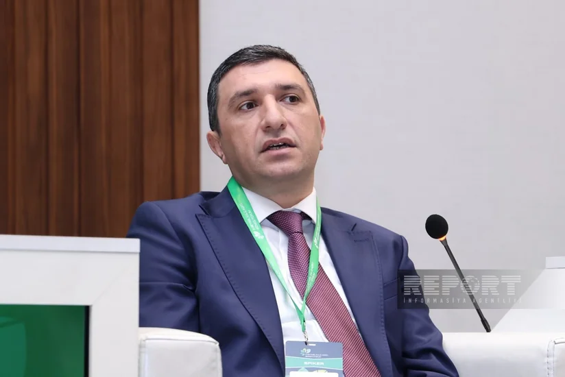 AmCham: Банки в Азербайджане осторожно подходят к проектному финансированию