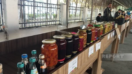 Ağdaşda Kənddən Şəhərə yarmarkası təşkil olunur