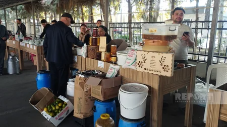 Ağdaşda Kənddən Şəhərə yarmarkası təşkil olunur