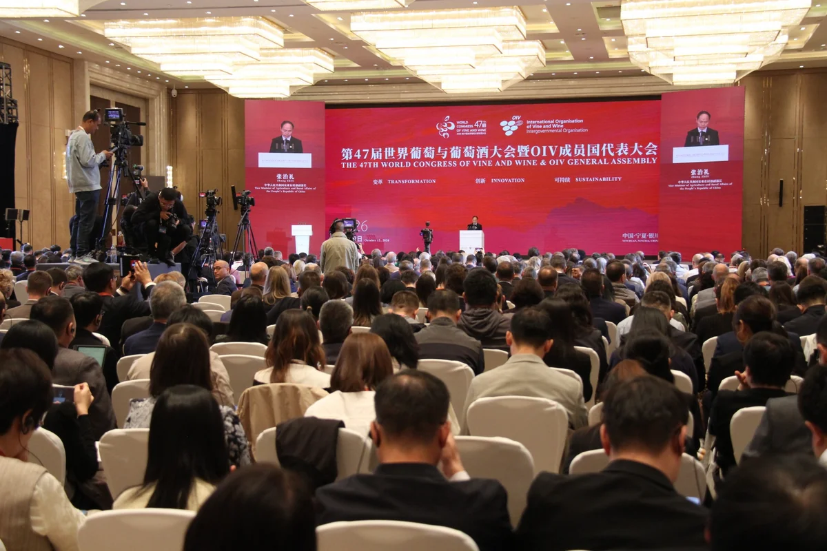 Azerbaijan participates in OIV World Congress in China