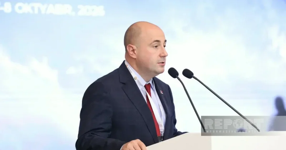 Kozarev: Azərbaycan və Serbiya 2027-ci ildə yüksək səviyyəli görüşlər planlaşdırır