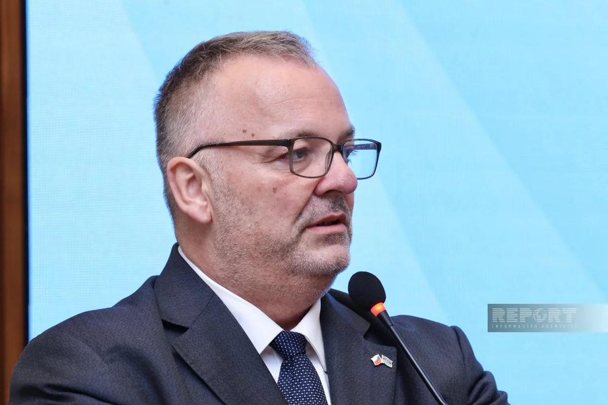 Czech Republic views Azerbaijan as significant strategic partner