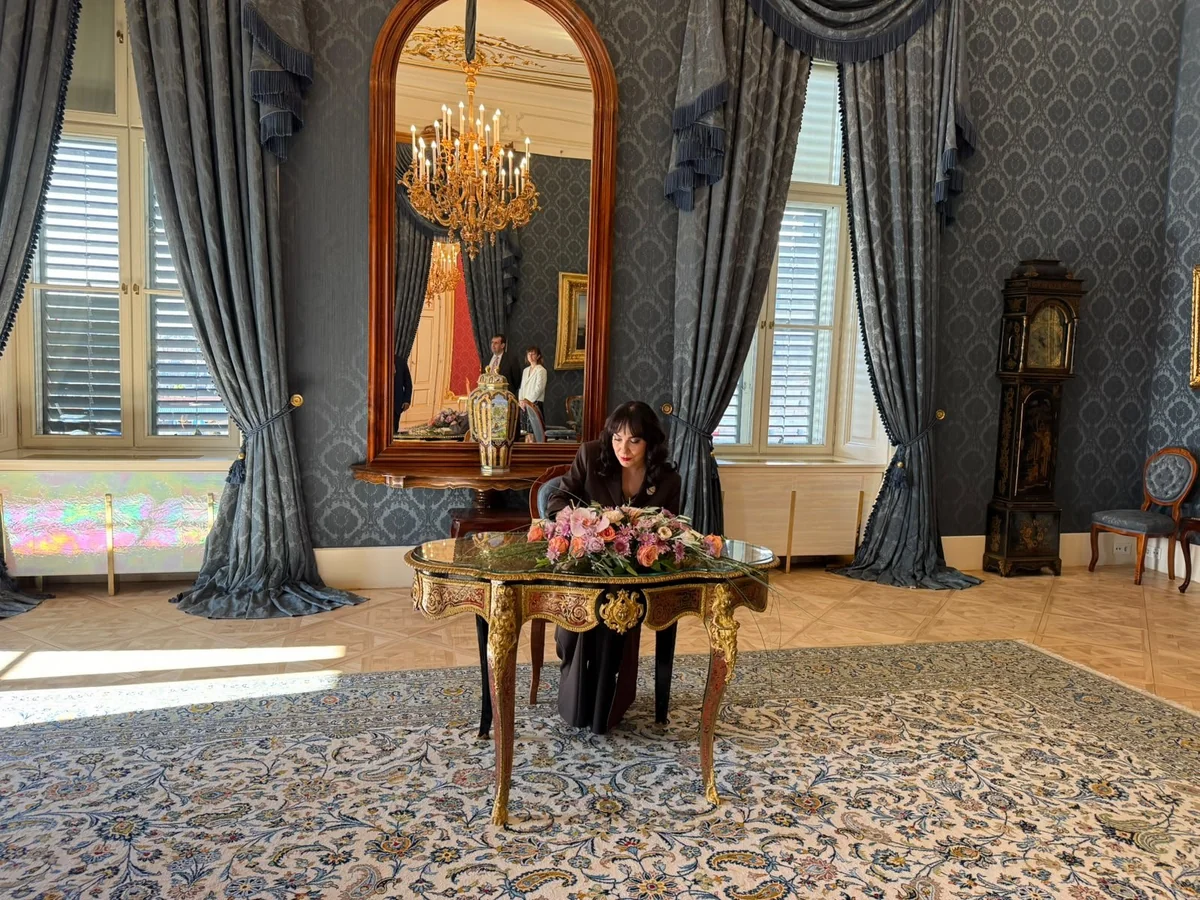 Azerbaijan's ambassador presents credentials to Hungarian president