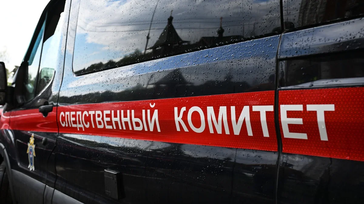 СК РФ: Число детей, совершивших диверсии, увеличилось вдвое за год