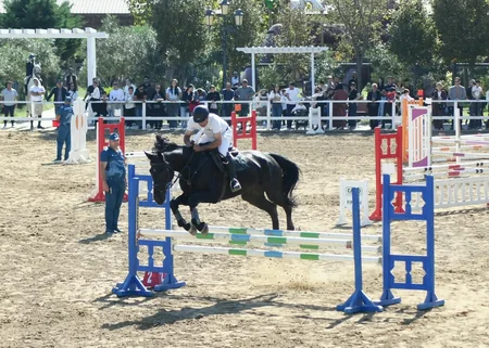 Bakıda konkur üzrə Omar kuboku keçirilib