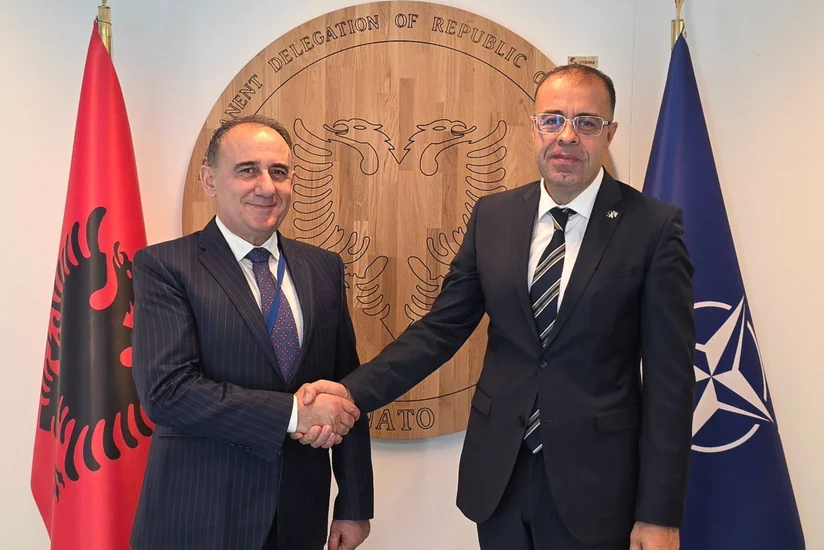 Azerbaijan and Albania discuss NATO cooperation and energy security