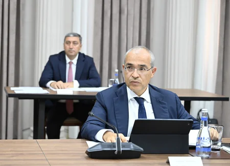 Azərbaycanda neft-qaz və neft-kimya sənayesinin inkişafı müzakirə olunub
