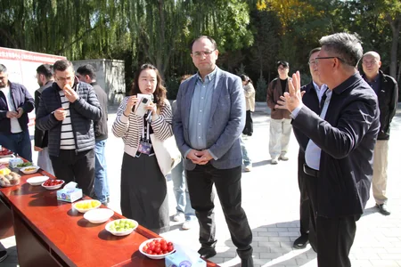 Azərbaycan Çində orqanik istehsal və ağıllı istixana texnologiyalarını öyrənib