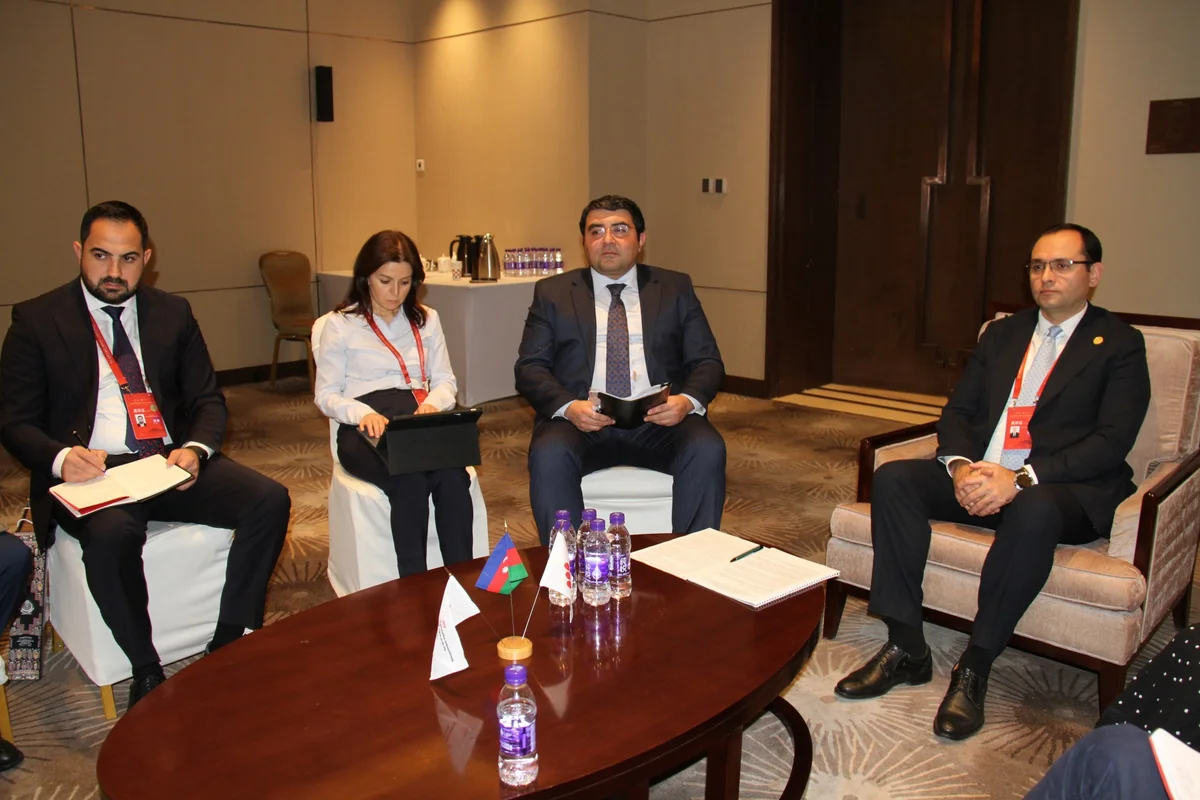 Azerbaijan, OIV discuss cooperation in viticulture and winemaking