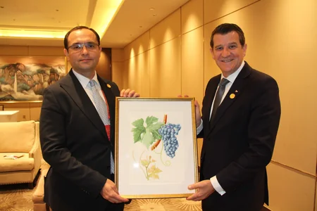 Azerbaijan, OIV discuss cooperation in viticulture and winemaking