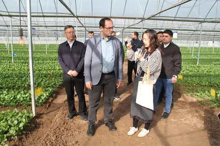 Azərbaycan Çində orqanik istehsal və ağıllı istixana texnologiyalarını öyrənib