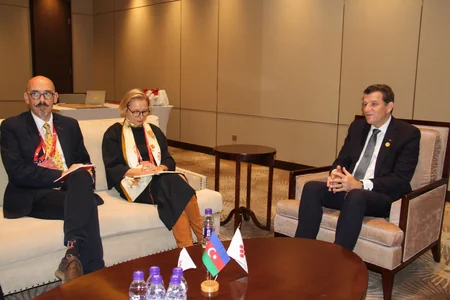Azerbaijan, OIV discuss cooperation in viticulture and winemaking