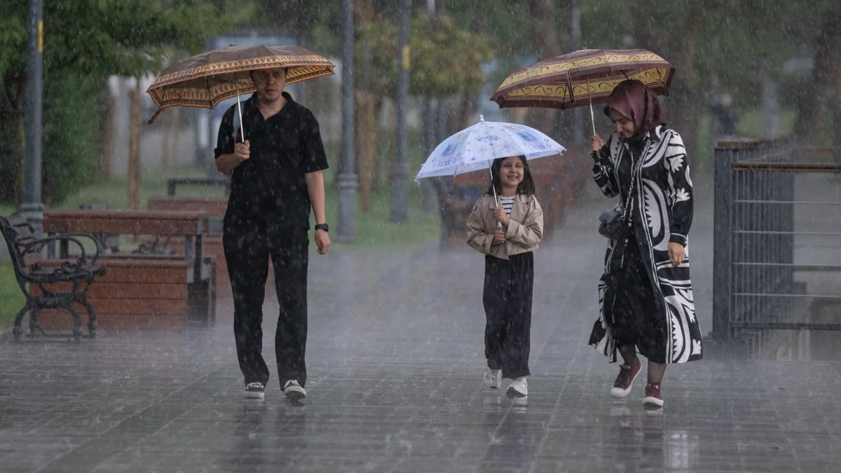 İstanbulda leysan səbəbindən dərslər distant formada keçiriləcək