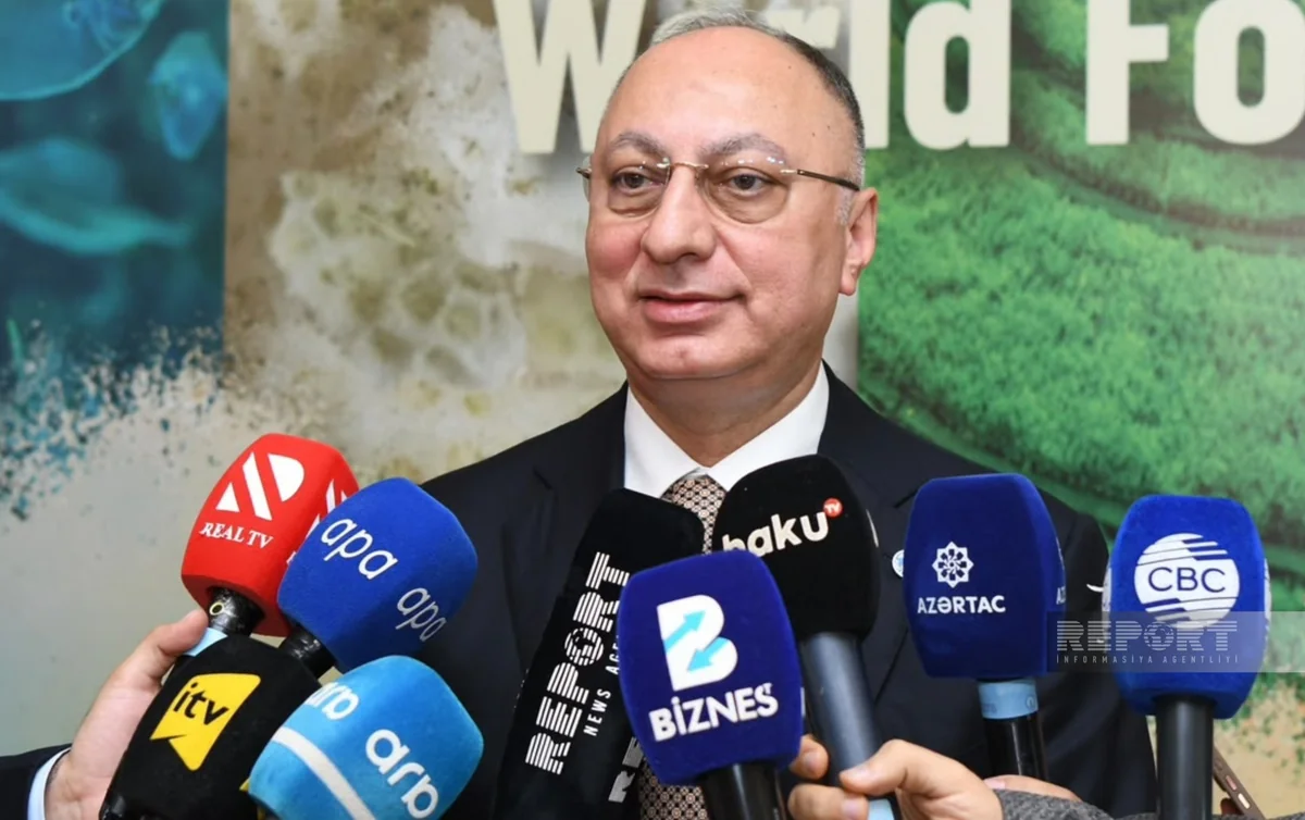 AQTA sədri ev şəraitində hazırlanan konservlərlə bağlı yanlış iddialara aydınlıq gətirib