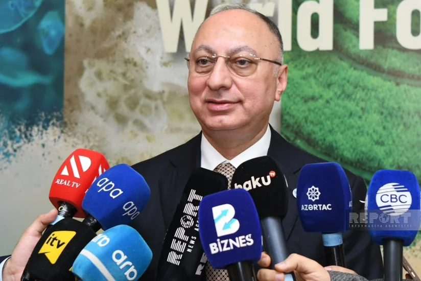 AQTA sədri ev şəraitində hazırlanan konservlərlə bağlı yanlış iddialara aydınlıq gətirib