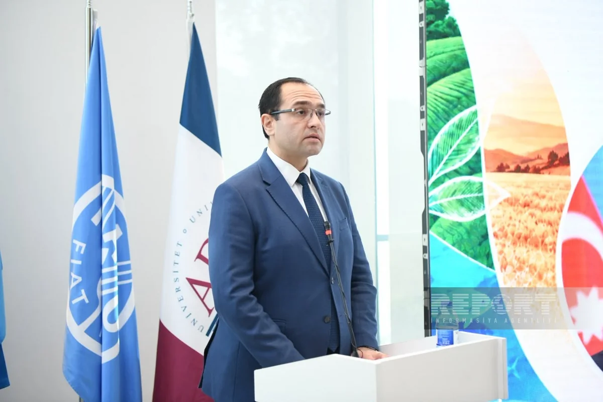 Məcnun Məmmədov: Məqsəd təkcə istehsalın artımı deyil, həm də resurslardan səmərəli istifadədir