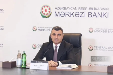 Taleh Kazımov: Pul siyasəti iqtisadiyyatın şaxələndirilməsini təkbaşına təmin edə bilməz