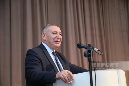 Rəşad Məcid: 4 il ərzində Mətbuat Şurasına ümumilikdə 815 şikayət daxil olub