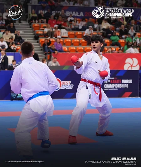Azərbaycan karateçiləri dünya çempionatını 5 medalla başa vurublar
