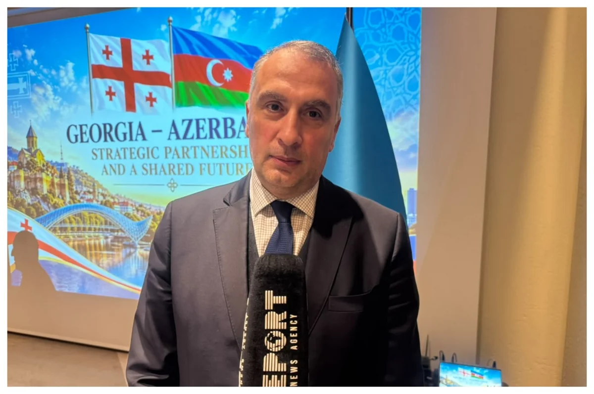 Cənubi Qafqazda azad ticarət məkanının yaradılması təklif edilib