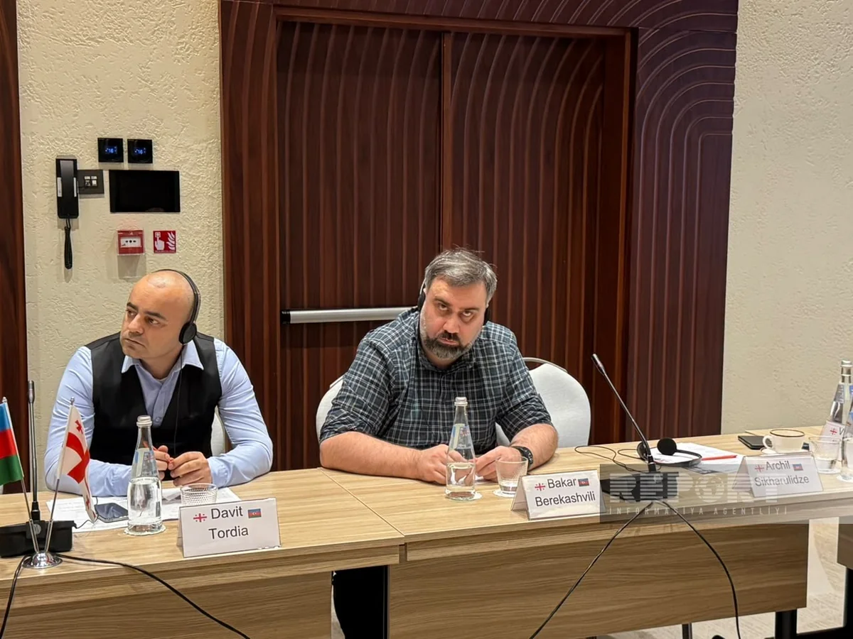 Berikashvili: Azerbaijan-Georgia co-op should strengthen sovereignty