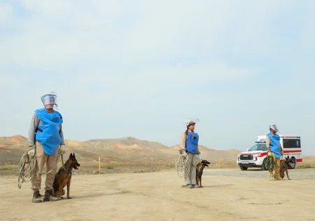 Azerbaijan clears over 308,000 hectares of mines, unexploded ordnance
