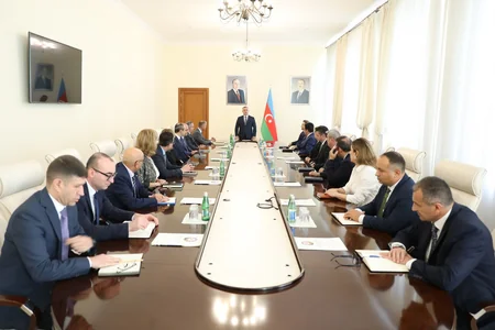 Анар Байрамов представлен сотрудникам Минздрава