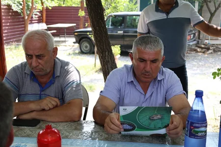 Azərbaycanda xüsusi təhlükəli zərərvericilərə qarşı görülən işlər açıqlanıb