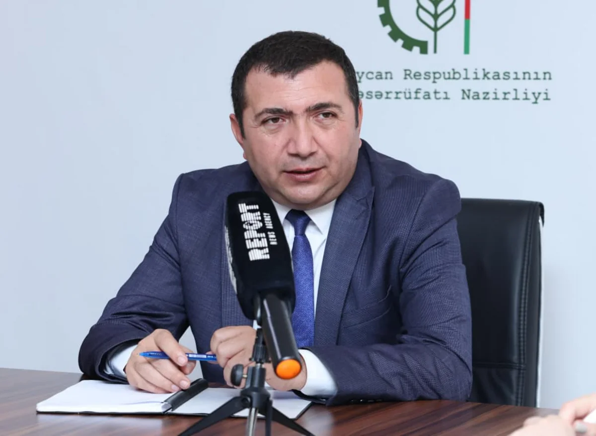 Azərbaycanda xüsusi təhlükəli zərərvericilərə qarşı görülən işlər açıqlanıb