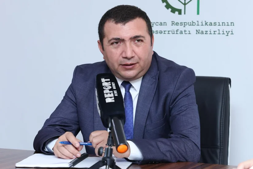 Azərbaycanda xüsusi təhlükəli zərərvericilərə qarşı görülən işlər açıqlanıb