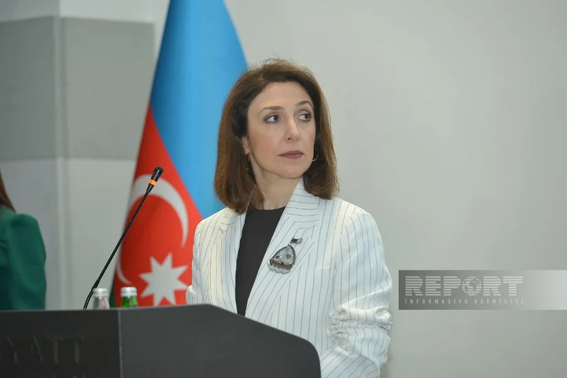Наргиз Гурбанова: Азербайджан и Венгрия намерены расширять экономическое и энергетическое сотрудничество