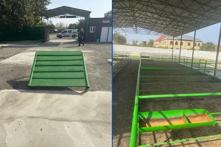 Şəmkirdə yeni heyvan satışı bazarı fəaliyyətə başlayıb