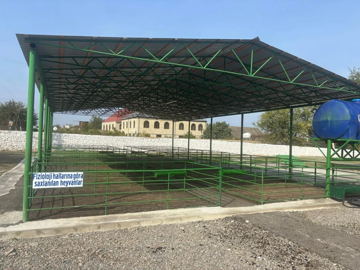 Şəmkirdə yeni heyvan satışı bazarı fəaliyyətə başlayıb