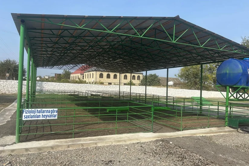 Şəmkirdə yeni heyvan satışı bazarı fəaliyyətə başlayıb