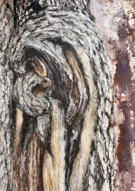 Baku to host Enchanted Forest exhibition