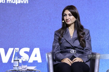Samirə Musayeva: Əmək münasibətlərinin rəsmiləşdirilməsi geriləmir