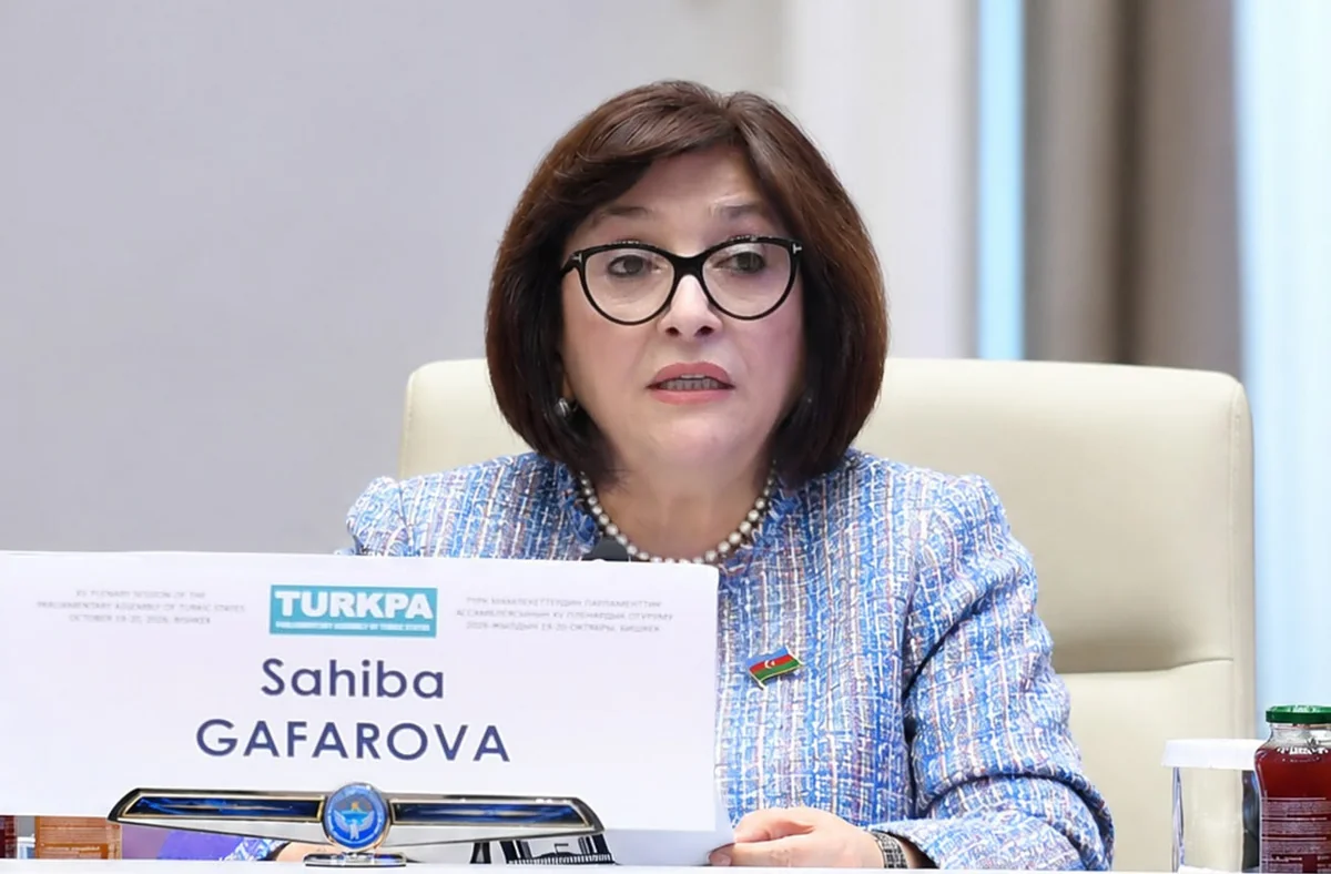 Sahibə Qafarova TÜRKPA-nı gənclər siyasətini gücləndirməyə çağırıb