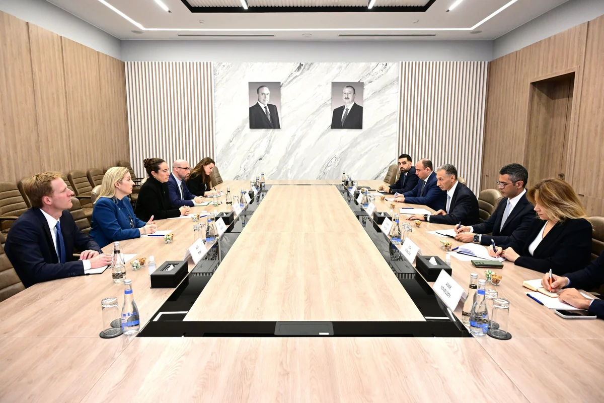 Azərbaycan DFC ilə süni intellekt məlumat mərkəzlərinin yaradılmasını müzakirə edib