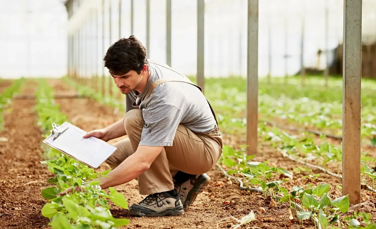 Azerbaijan to grant residence permits to foreign agronomists, veterinarians